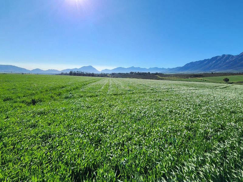 Expansive green agricultural fields set against a scenic mountain range backdrop, showcasing the natural landscape of the farm property.