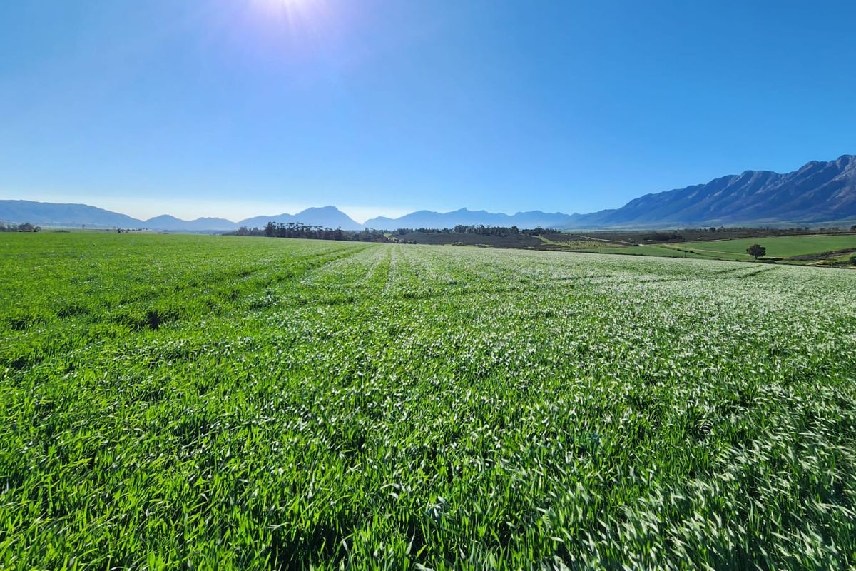 Expansive green agricultural fields set against a scenic mountain range backdrop, showcasing the natural landscape of the farm property.