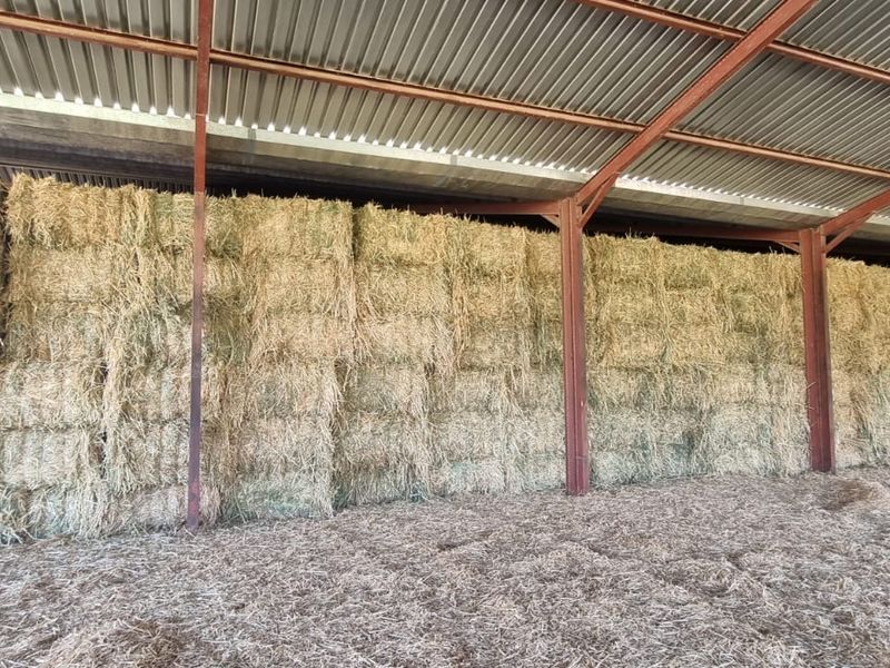A large, open-sided farm barn featuring a corrugated metal roof and steel support beams, currently utilized for hay storage.
