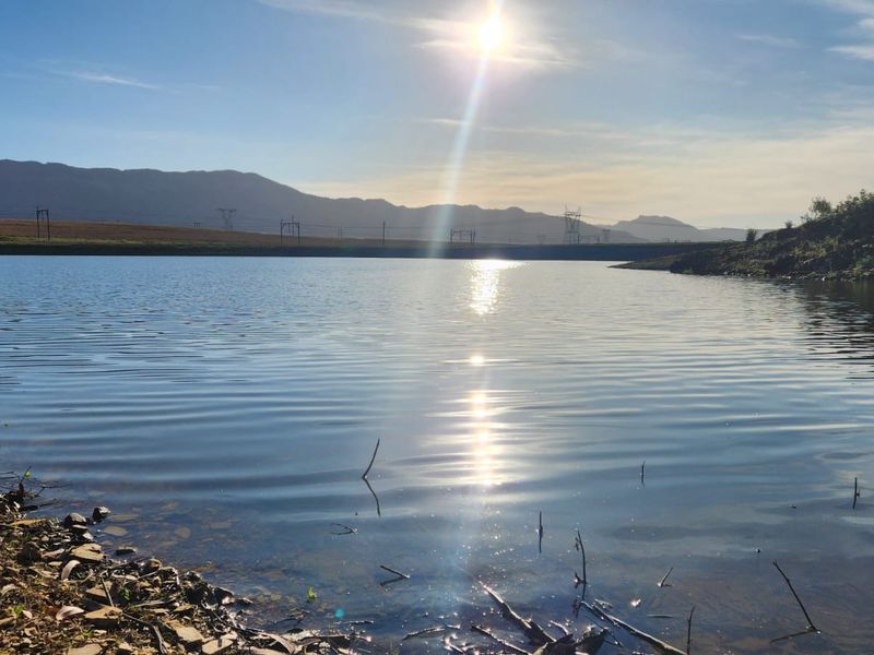 A scenic view of a tranquil dam or lake on the farm, featuring calm water and distant mountain ranges under a bright sun.