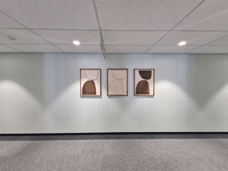 A clean, well-maintained commercial hallway featuring a suspended ceiling with recessed lighting, textured wall finishes, and professional-grade carpeting.