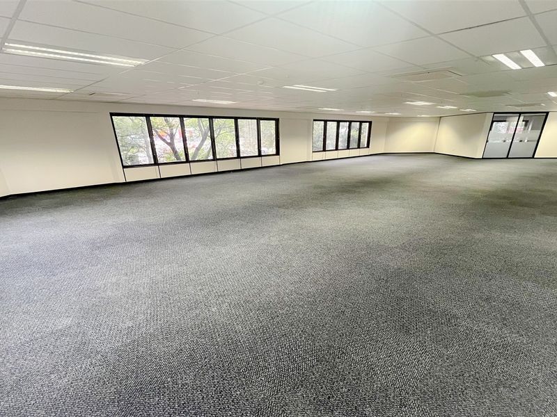 A spacious, open-plan office area featuring neutral carpeting, a suspended ceiling with recessed lighting, and large windows providing natural light.