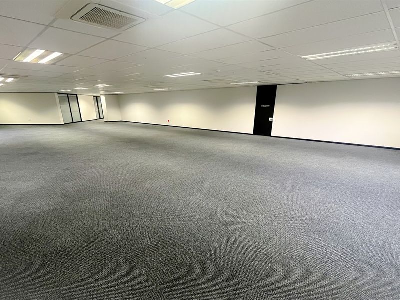 A spacious, open-plan office area featuring neutral walls, grey carpeting, and a suspended ceiling with integrated lighting and air conditioning.