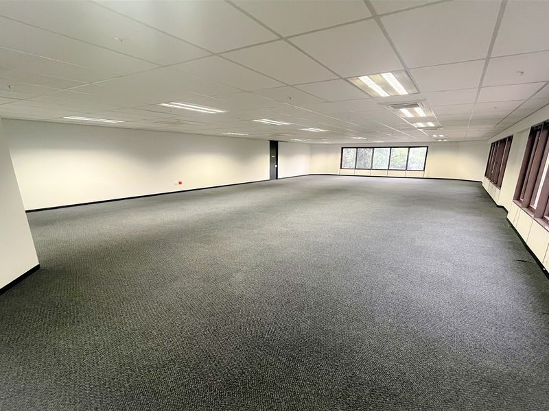 A spacious, open-plan office area featuring neutral carpeting, a suspended ceiling with recessed lighting, and large windows providing natural light.