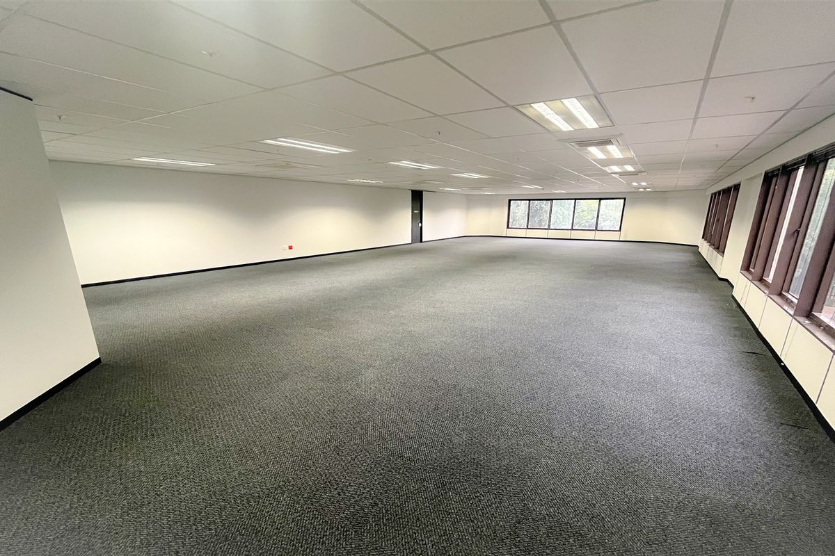 A spacious, open-plan office area featuring neutral carpeting, a suspended ceiling with recessed lighting, and large windows providing natural light.