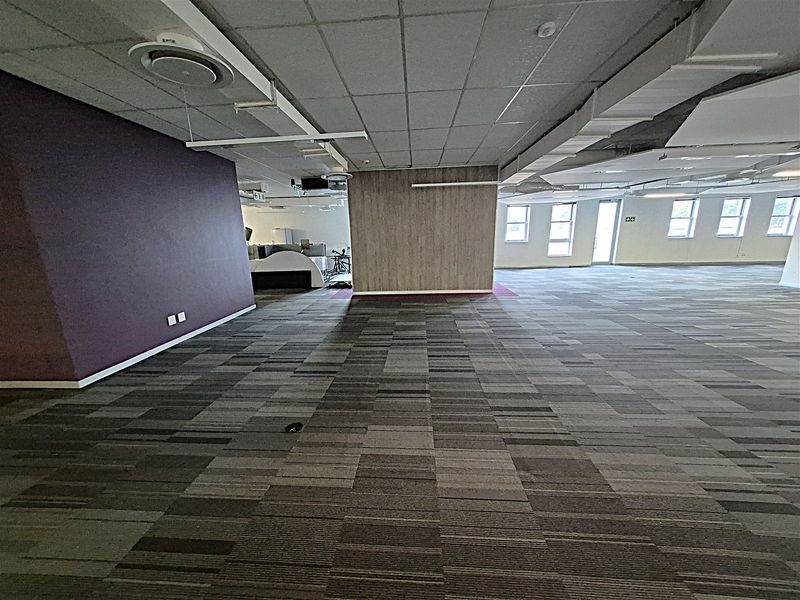 Spacious open-plan office area featuring carpeted flooring, suspended ceilings with integrated lighting, and large windows providing ample natural light.