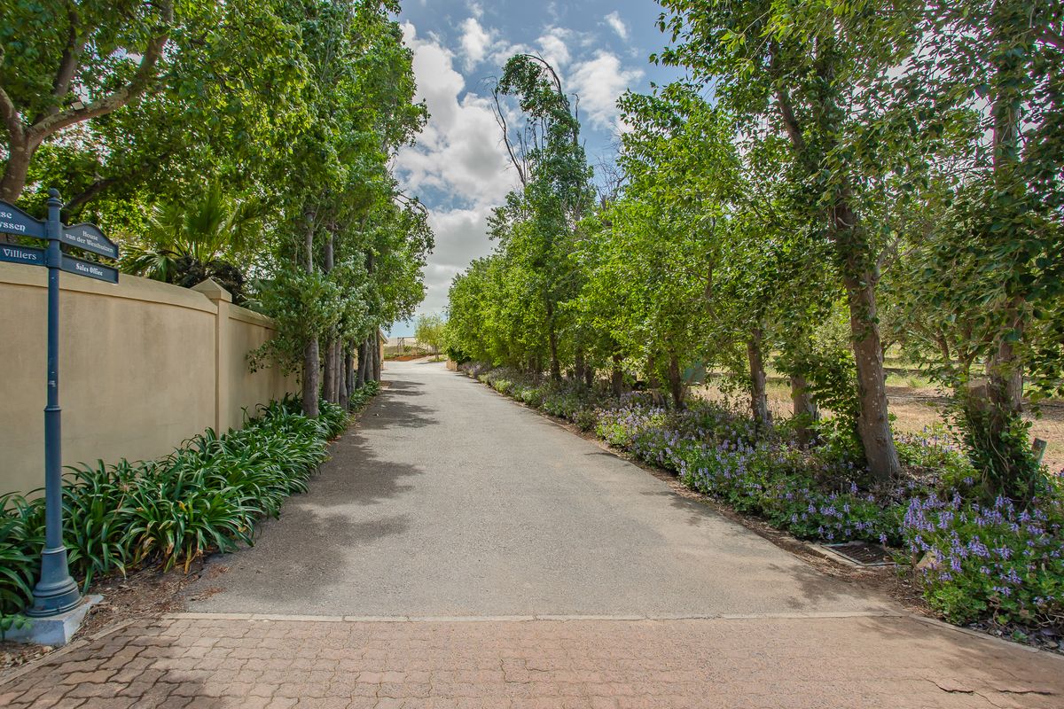 Olive oil farm and business brand for sale in Windmeul, Paarl - Photo 2