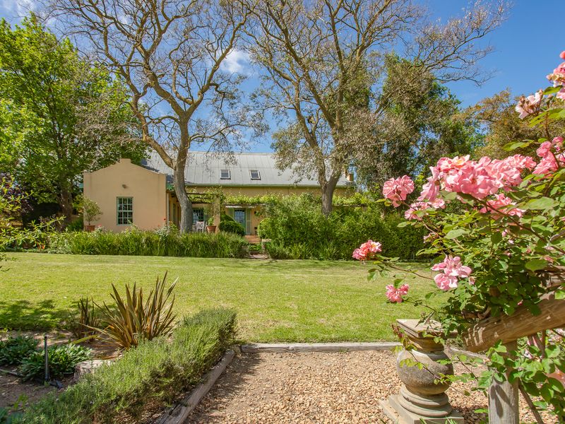 Olive oil farm and business brand for sale in Windmeul, Paarl - Photo 3