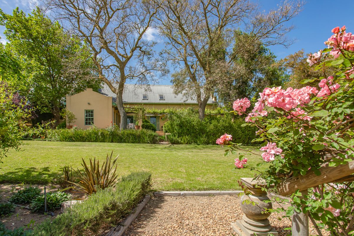 Olive oil farm and business brand for sale in Windmeul, Paarl - Photo 3