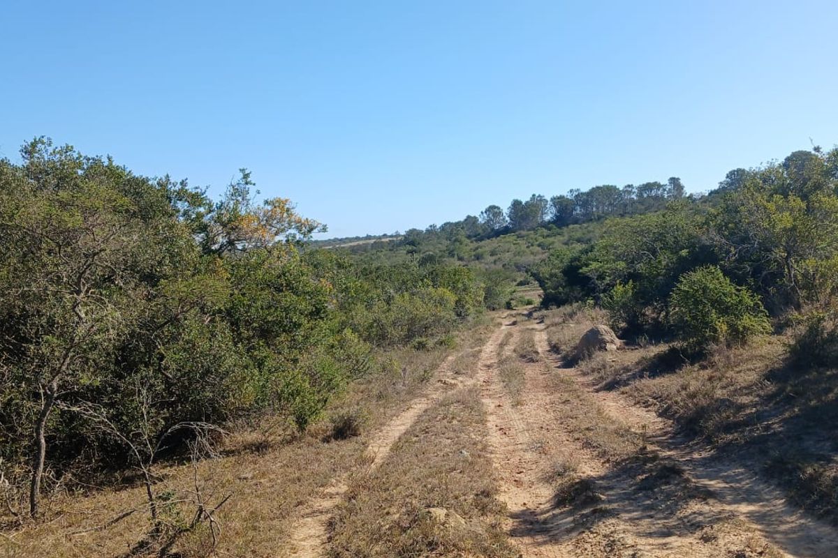 259 ha Stock Farm Near Bathurst - Photo 2