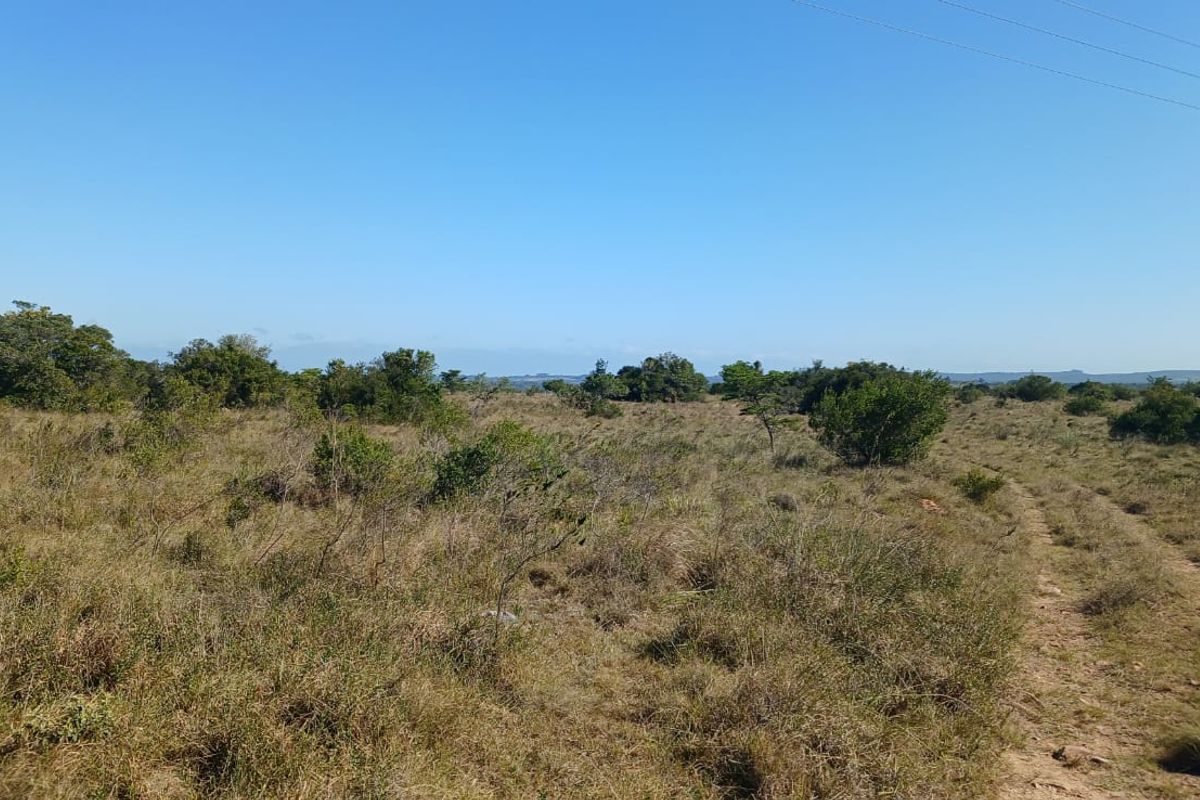 259 ha Stock Farm Near Bathurst - Photo 3