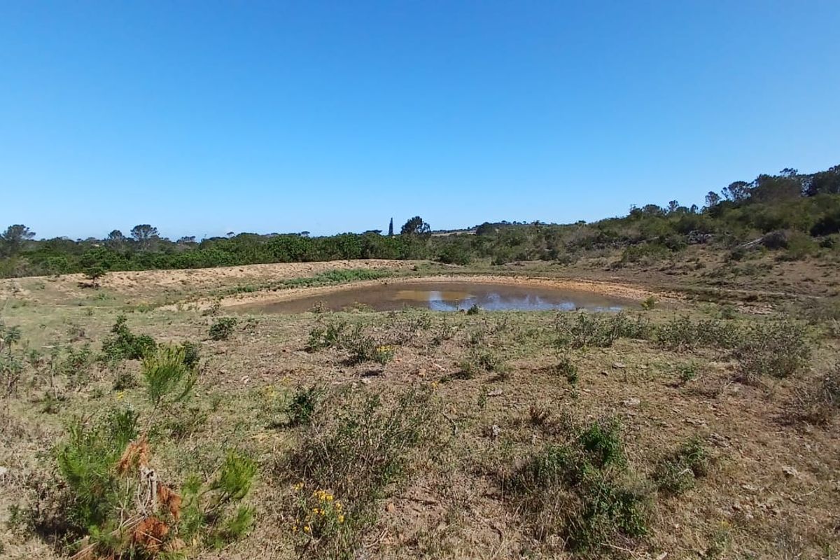 259 ha Stock Farm Near Bathurst - Photo 5