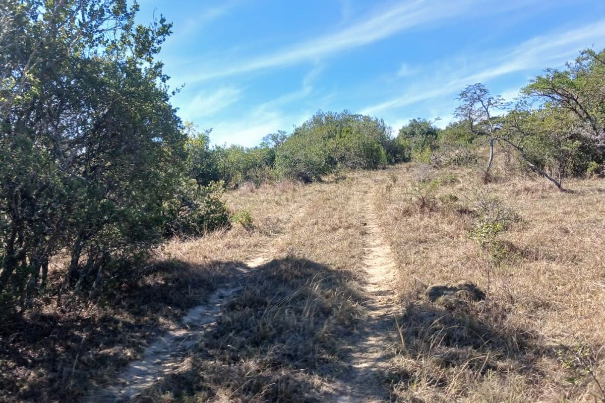 259 ha Stock Farm Near Bathurst - Photo 4