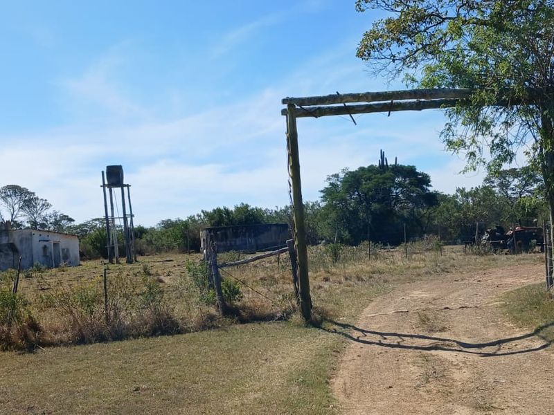 A rural farm entrance featuring a dirt driveway, timber gate frame, and an elevated water tank structure set within open pasture land.