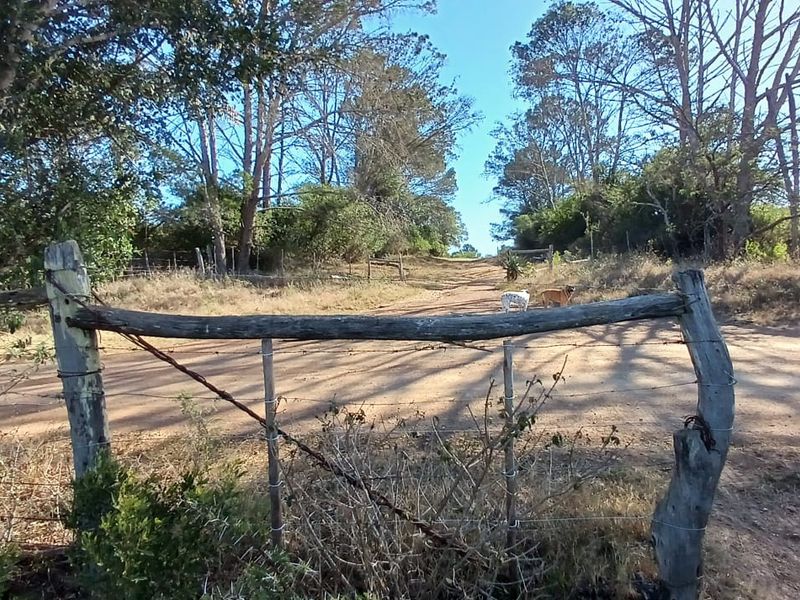 A rustic timber farm gate and barbed wire fence marking the entrance to a dirt access road on the property.
