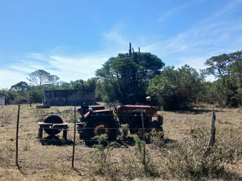 Open farm land featuring a water tower, concrete water reservoir, and wire fencing, set against a backdrop of native trees and shrubs.