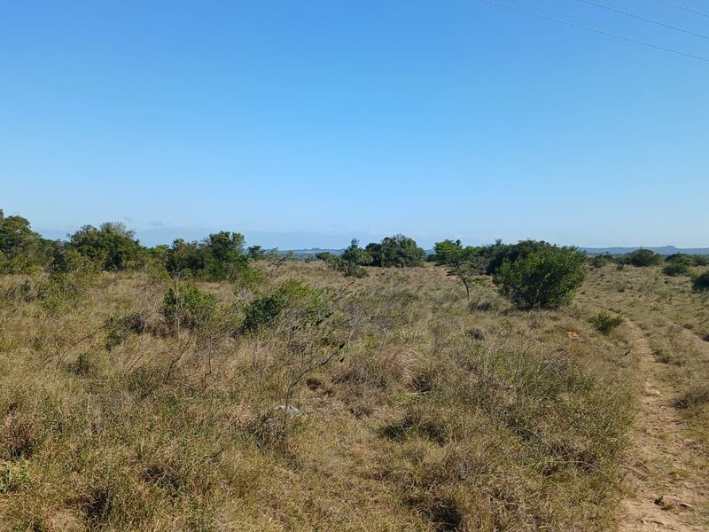 Expansive view of the natural farm landscape featuring native vegetation and an unpaved access track.