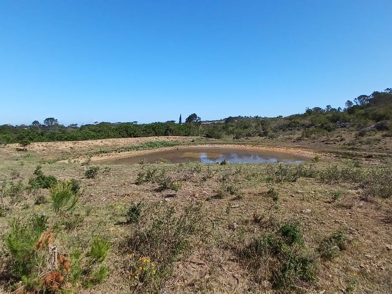 A wide-angle view of the farm landscape featuring a natural earth dam surrounded by indigenous vegetation and open grazing land.