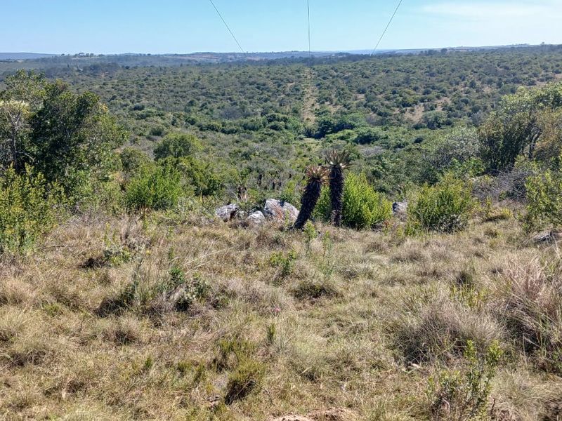 Expansive landscape view overlooking natural bushveld and rolling terrain on the farm property.
