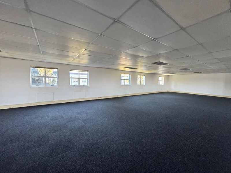 A large, open-plan office space featuring a suspended ceiling, recessed lighting, and dark carpeting, offering a blank canvas for professional workspace configuration.