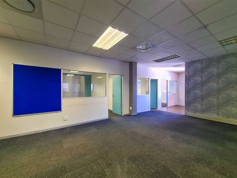 A spacious, vacant office suite featuring a suspended ceiling, recessed lighting, carpeted floors, and internal glass partitions for a professional, open-plan layout.
