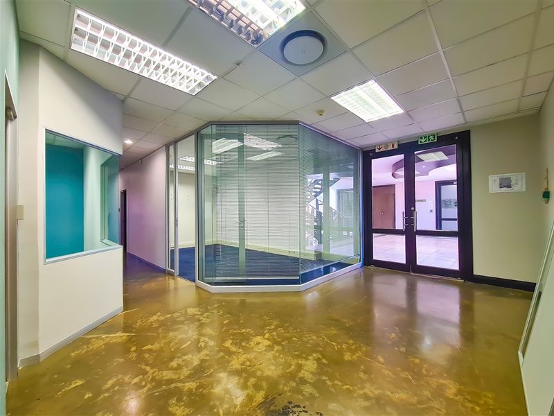 Empty office space featuring glass partitioning, suspended ceilings with integrated lighting, and double glass entry doors.