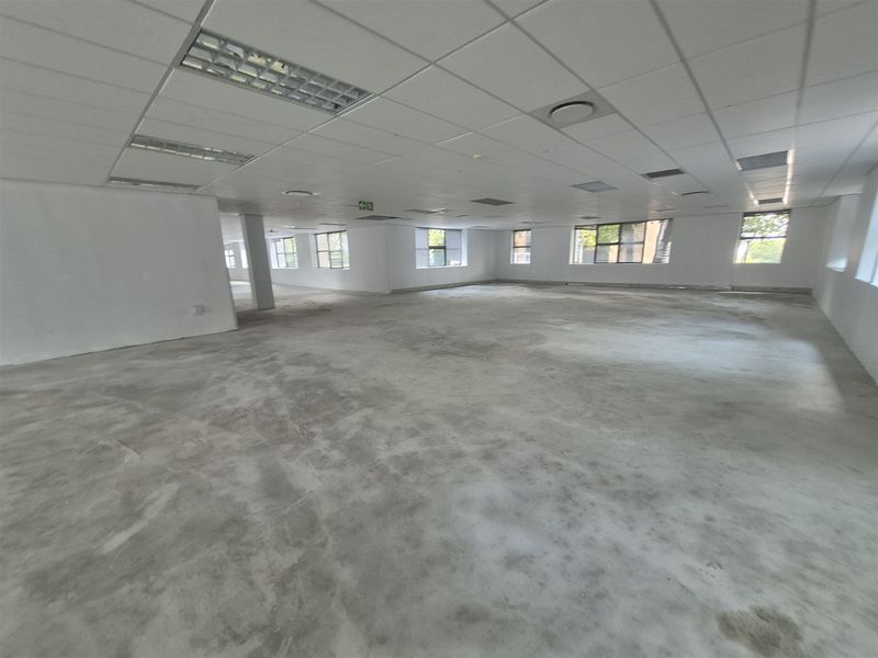 A large, open-plan office space featuring a suspended ceiling with recessed lighting and unfinished concrete flooring, offering a blank canvas for customization.