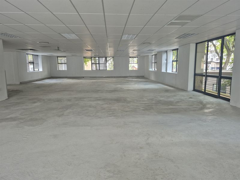 A large, open-plan office space featuring a suspended ceiling, recessed lighting, and expansive windows, currently presented as a blank canvas with unfinished concrete flooring.