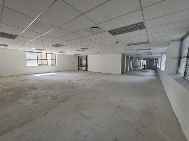A large, open-plan office space featuring a suspended ceiling, recessed lighting, and unfinished concrete flooring, ready for custom fit-out.