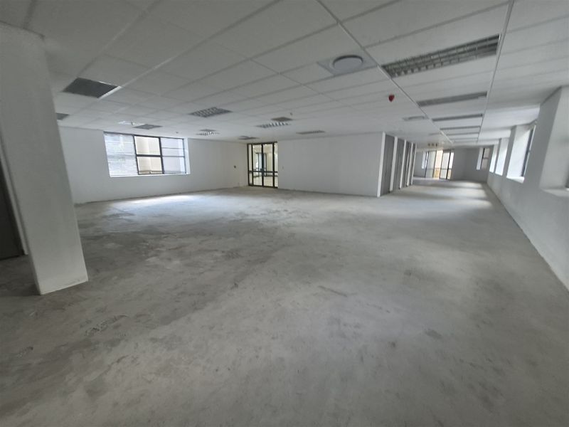 A large, open-plan office space featuring a suspended ceiling, recessed lighting, and unfinished concrete flooring, ready for custom fit-out.