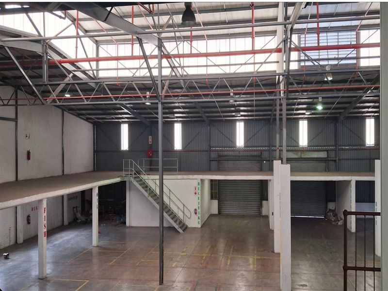 Spacious industrial warehouse featuring a high-clearance steel truss roof, mezzanine level, multiple roller shutter doors, and integrated fire sprinkler system.