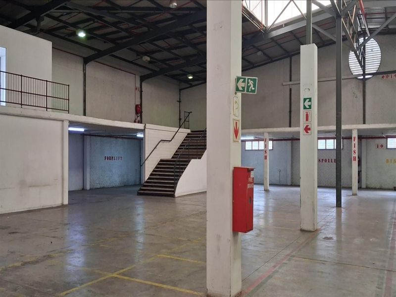 Spacious industrial warehouse featuring high ceilings with exposed steel trusses, a mezzanine level, concrete flooring, and integrated fire safety infrastructure.