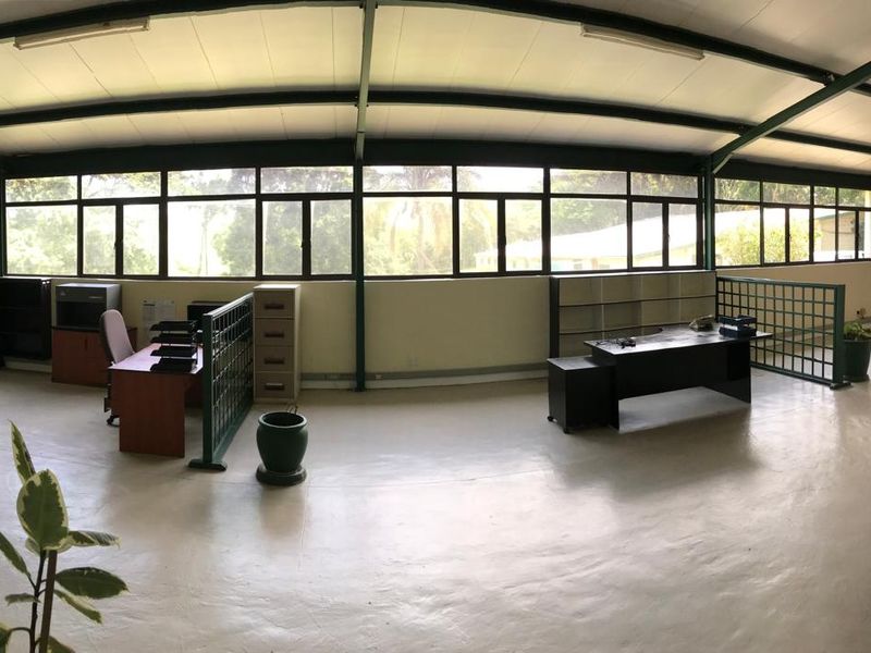 Spacious open-plan office area featuring exposed steel roof trusses, extensive panoramic windows for natural light, and durable painted concrete flooring.
