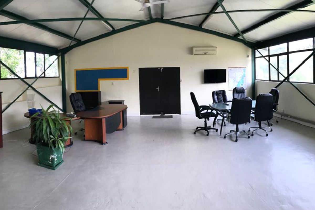 Spacious open-plan office area featuring exposed steel roof trusses, large windows for natural light, and a split-system air conditioner.