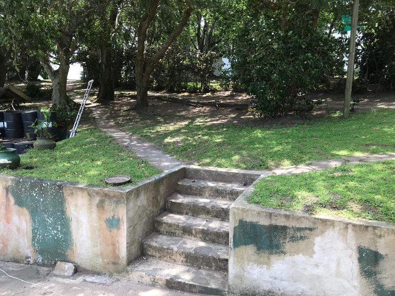 Outdoor garden area featuring a concrete retaining wall with integrated stairs leading to a landscaped pathway and mature trees.