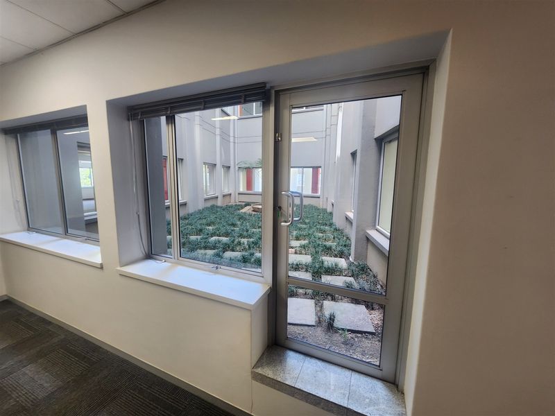 Empty office space featuring carpeted flooring, suspended ceiling, and large windows providing views into a private internal courtyard.