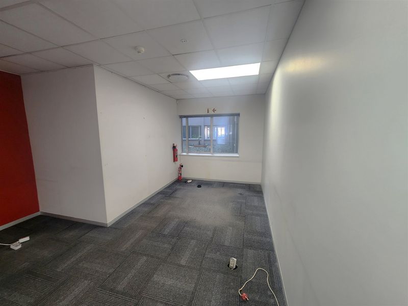 An empty office space featuring carpet tiles, a suspended ceiling with recessed lighting, and a window overlooking an internal courtyard.