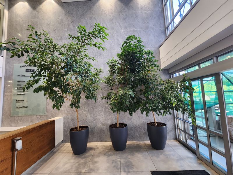 Modern office building entrance lobby featuring high ceilings, stone-look wall finishes, large glass windows, and professional directory signage.