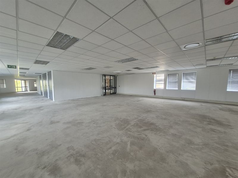 A spacious, open-plan office area featuring a suspended ceiling, recessed lighting, and large windows with blinds, currently presented as a blank canvas.