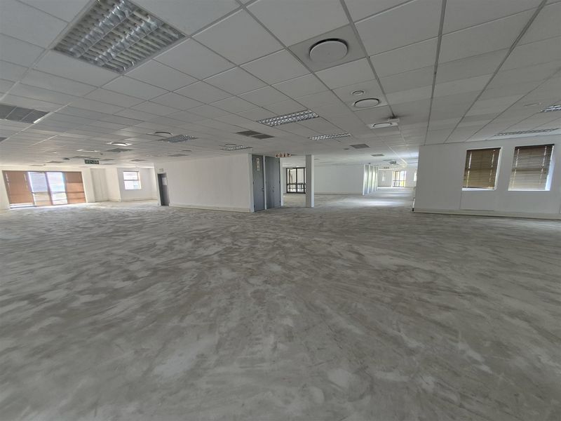 A large, open-plan office space featuring a suspended ceiling, recessed lighting, and unfinished concrete flooring, offering a blank canvas for custom fit-outs.