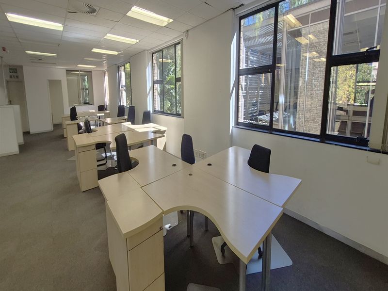 A spacious open-plan office area featuring large windows, suspended ceilings with recessed lighting, and carpeted flooring, providing a functional workspace environment.