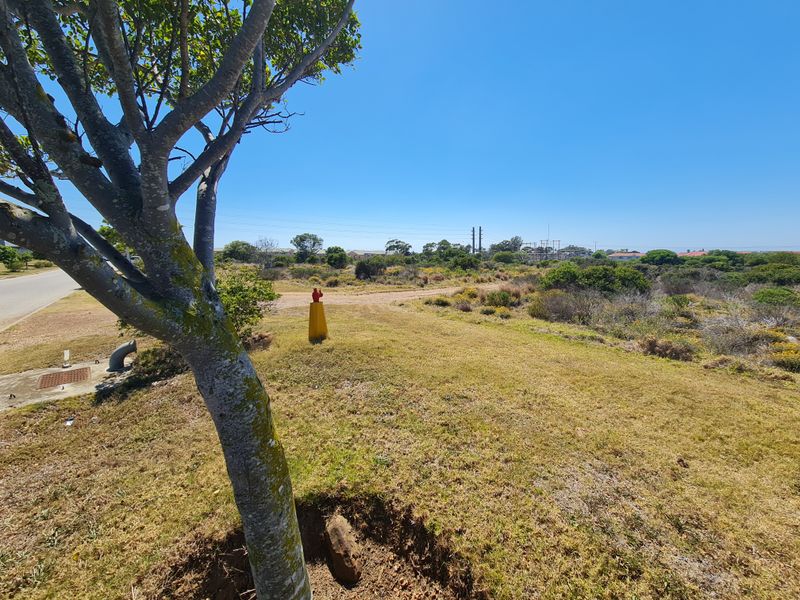 Calling Business Entrepreneurs & Investors to an Opportunity in Fountains Estate Business Park - Photo 3