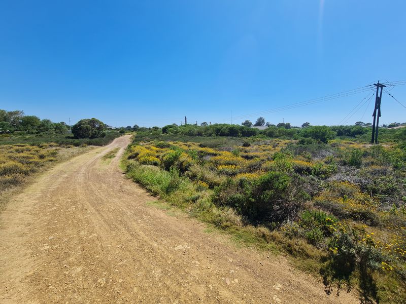 Calling Business Entrepreneurs & Investors to an Opportunity in Fountains Estate Business Park - Photo 10