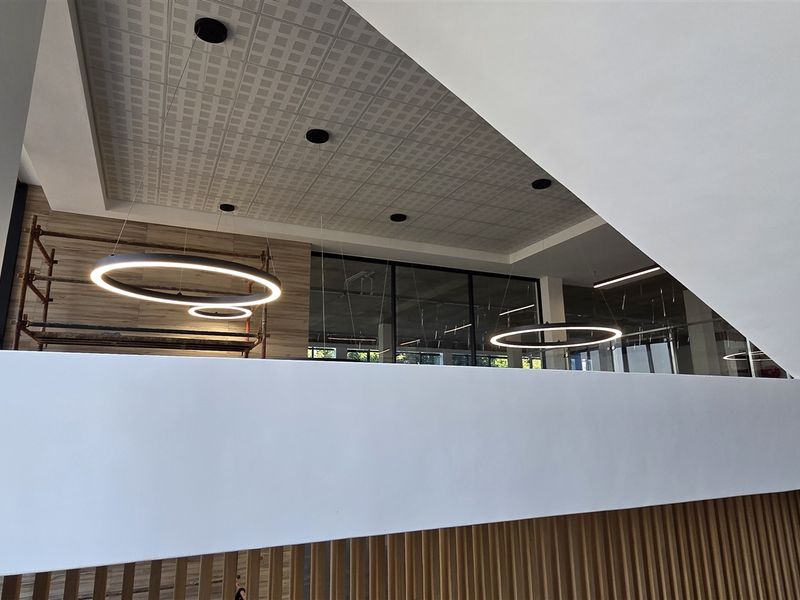 Modern office interior featuring a high ceiling with acoustic tiles, contemporary circular pendant lighting, glass partitions, and decorative timber slat wall paneling.