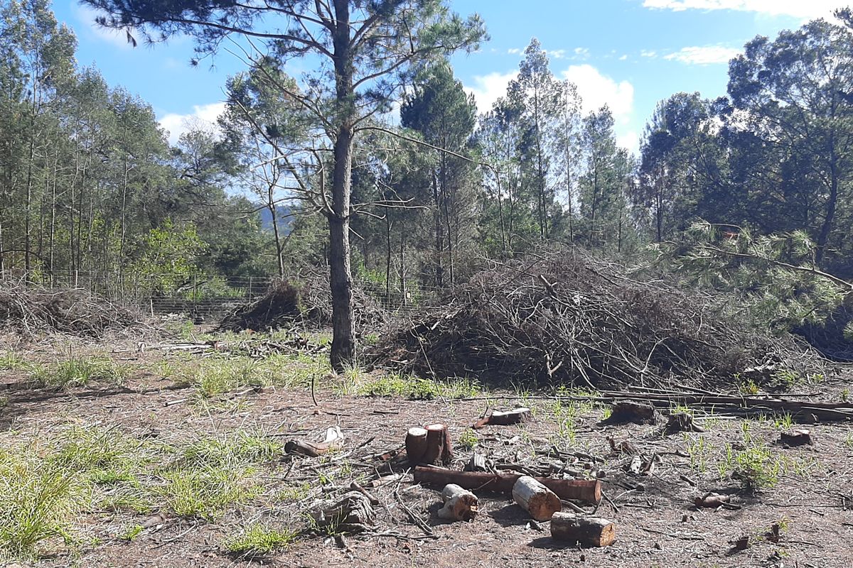 A view of a rural farm plot featuring cleared vegetation piles and tree stumps within a wooded landscape.