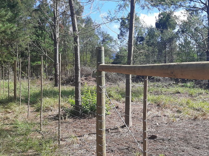 A view of the farm property boundary featuring a post and wire fence line running through a wooded area.