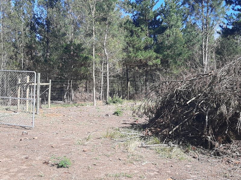 A rural farm area featuring wire fencing and a large pile of cleared brush, set against a backdrop of mature pine trees.