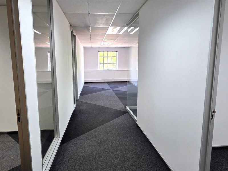 A bright, vacant office space featuring modern geometric carpet tiles, glass partition walls, and a suspended ceiling, offering a clean professional environment.