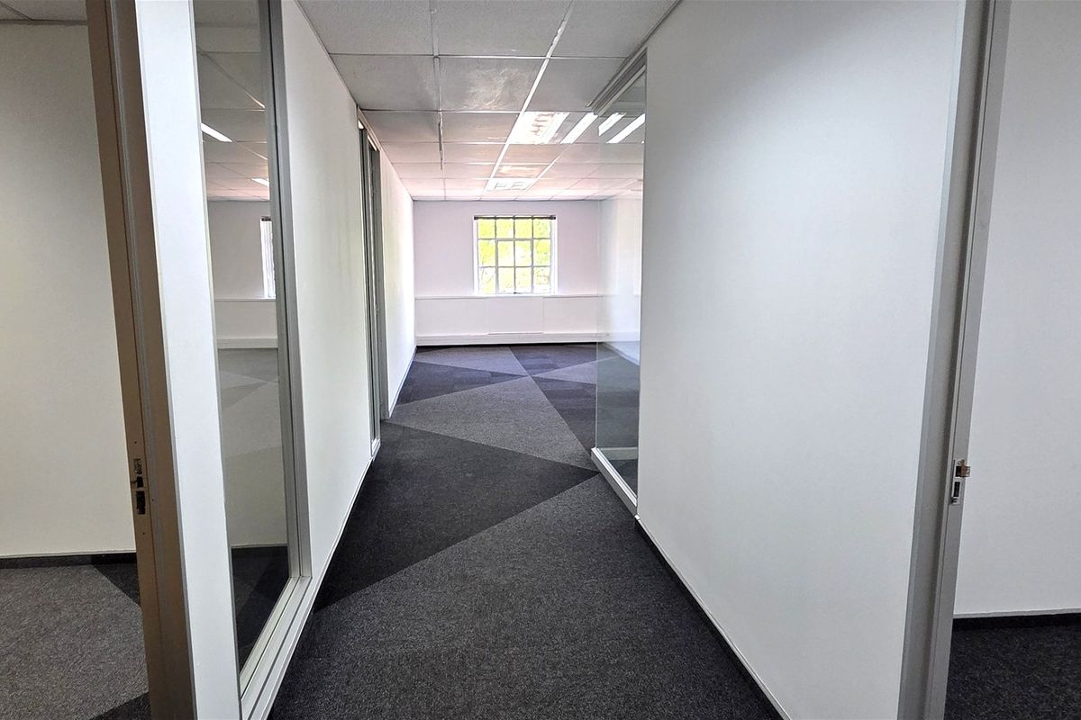 A bright, vacant office space featuring modern geometric carpet tiles, glass partition walls, and a suspended ceiling, offering a clean professional environment.