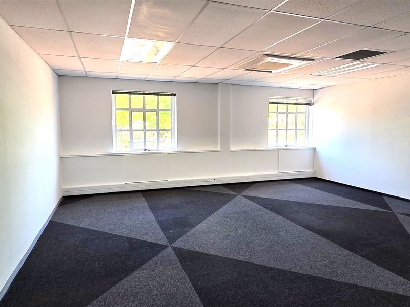 A bright, empty office space featuring a suspended ceiling, recessed lighting, and modern geometric patterned carpet tiles with natural light from two windows.